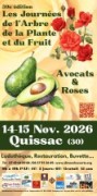 journées-arbre-plante-fruit.jpg
