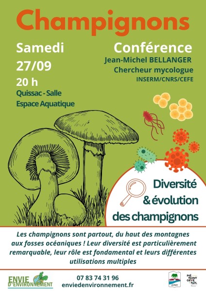 champignons.jpg