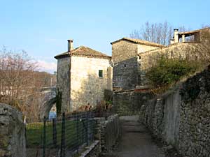 La traverse des canards