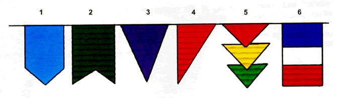 Les drapeaux fête de Viele