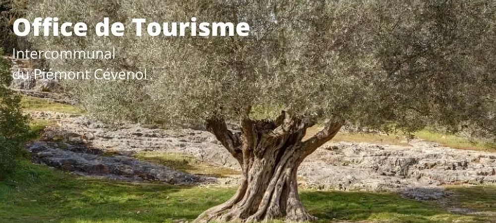 Office de tourisme à Quissac